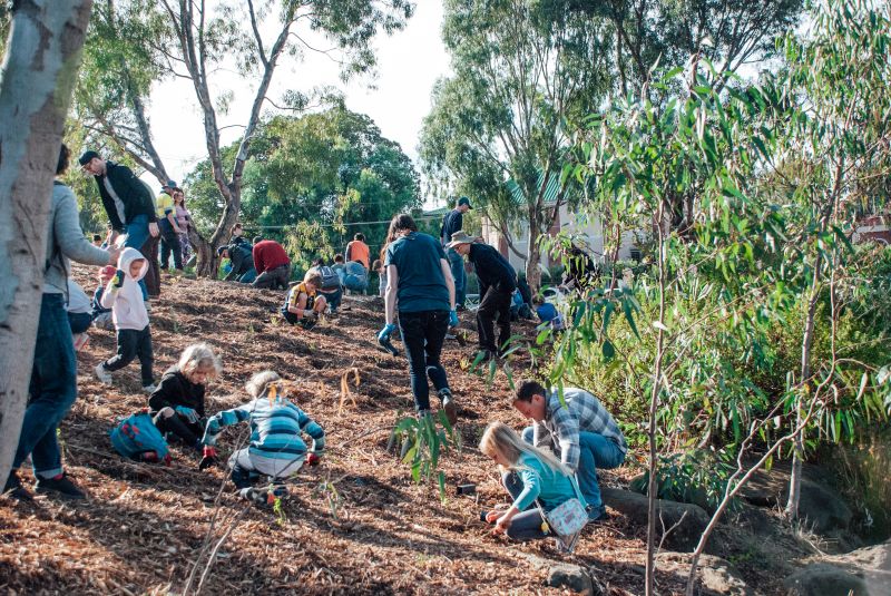 Pollinator Corridor Community Planting Day