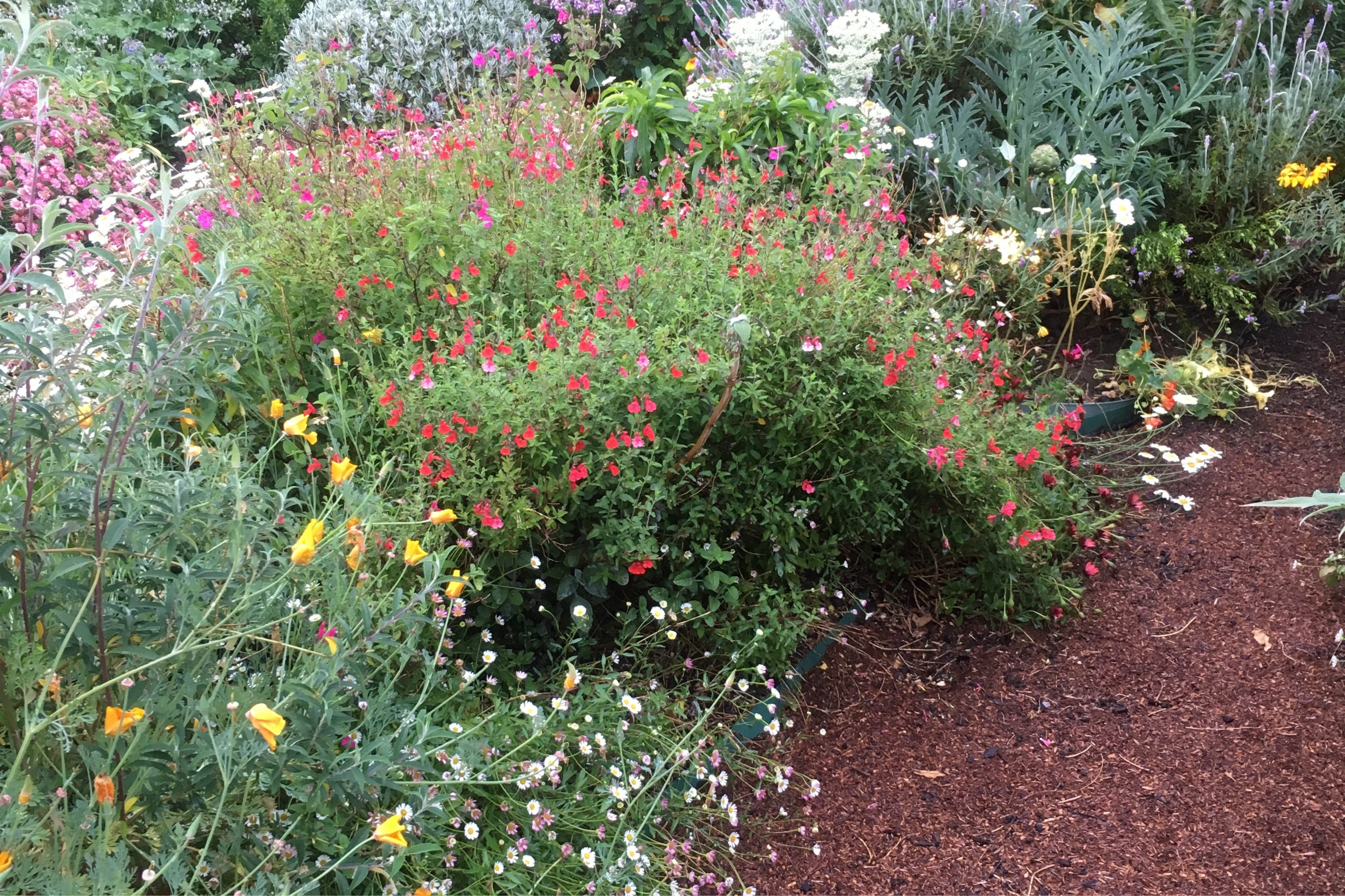 Gardening in small spaces