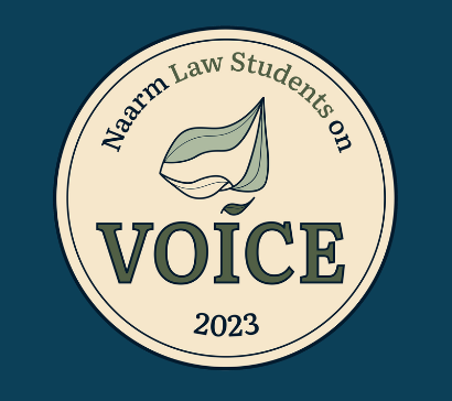 Understanding the Voice to Parliament