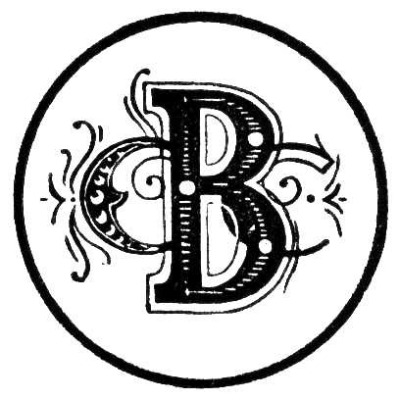 Brunswick All-abilities Cricket Exhibition match Brunswick All-abilities Cricket Exhibition match