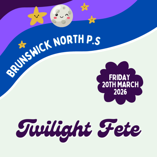 Brunswick North Primary School Twilight Fete