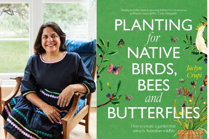 Planting for Native Birds, Bees and Butterflies with Jaclyn Crupi