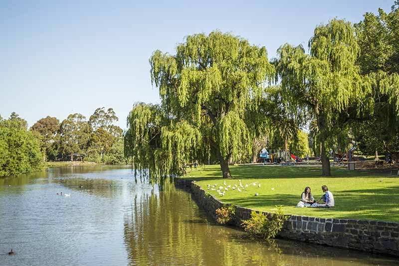 Merri-bek local laws 