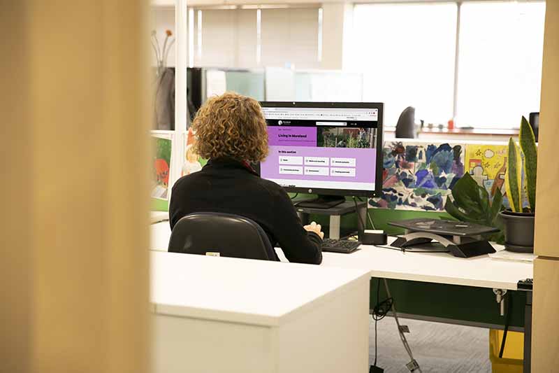 Terms and conditions for online services