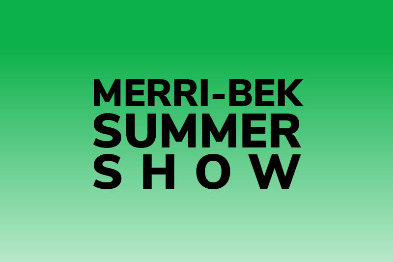 Merri-bek Summer Show: A Climate for Change