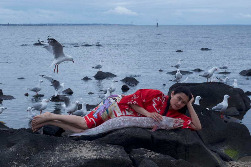 Pit Yourself Against