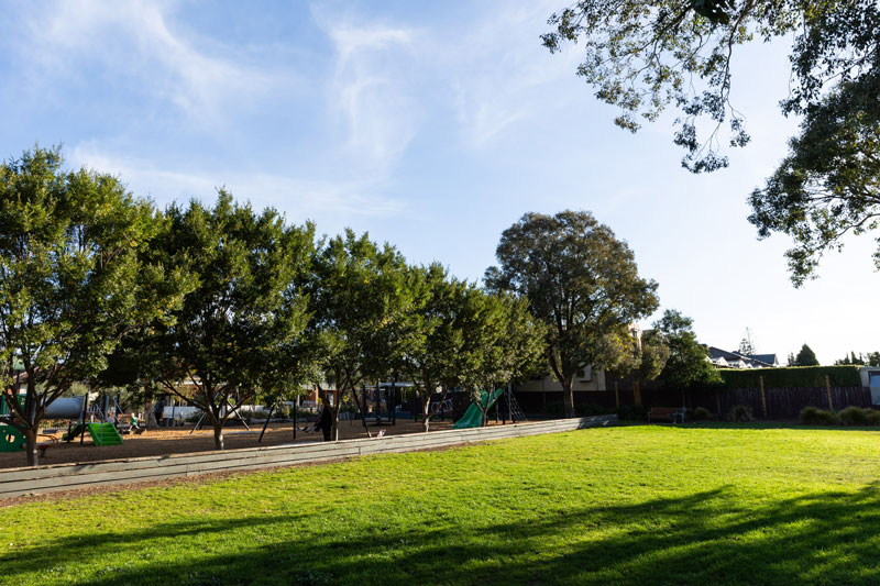 A flat grassy expanse is divided from a playground by a row of similar middle-sized trees.