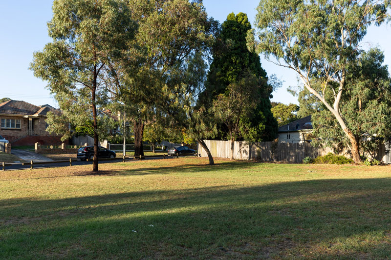 A wide expanse of lawn with large native trees around the perimeter.