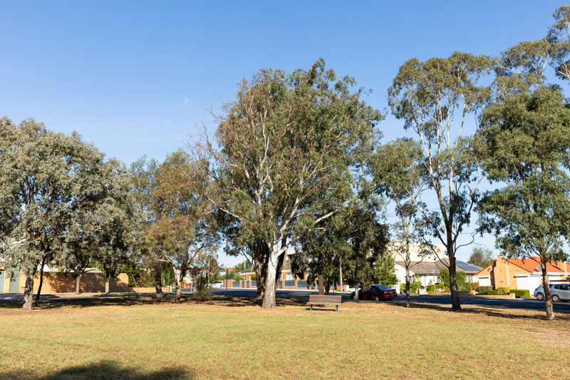 View of the park with a wide, green lawn, park bench and trees around the edge.