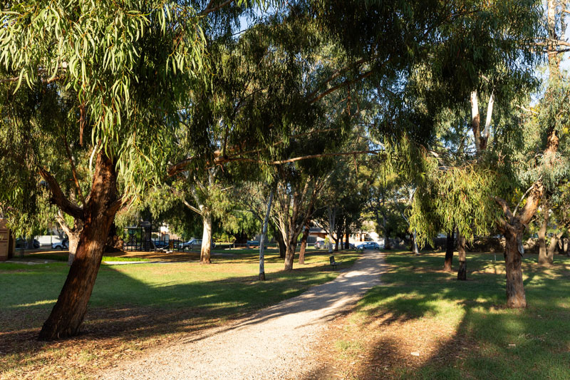A gravel walking path flanked by lawn and tall native trees.