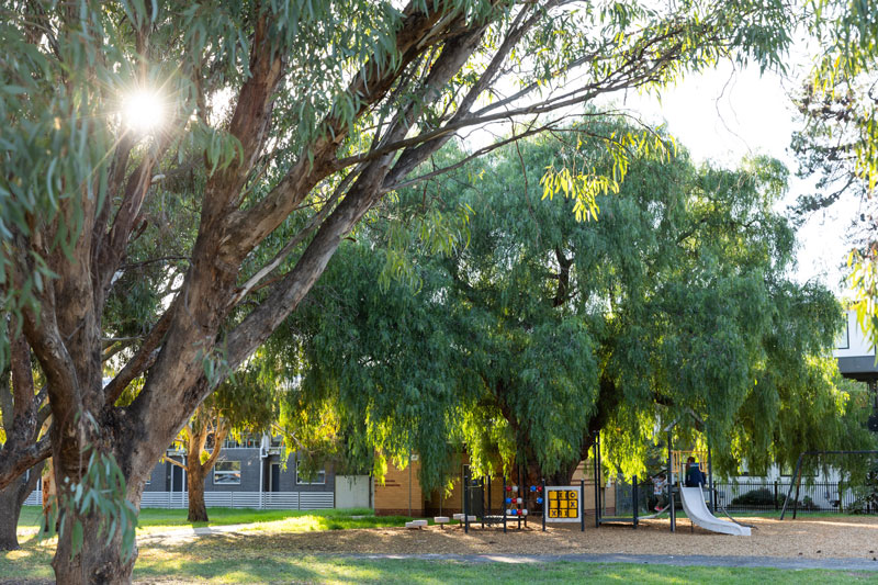 A view of a children's playground with a slide shaded by a large tree.