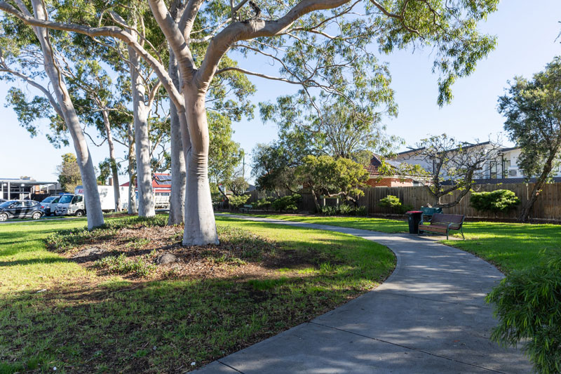 A concrete walking path winding through lawn with shady native trees.