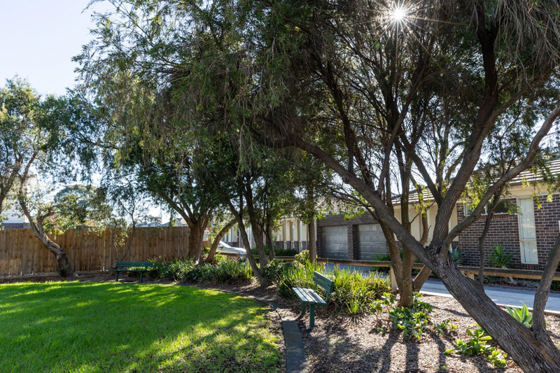 A corner of the park with native trees and a park bench.