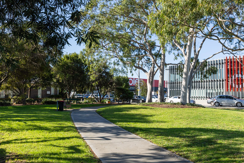 A concrete walking path flanked by lawn with native trees.