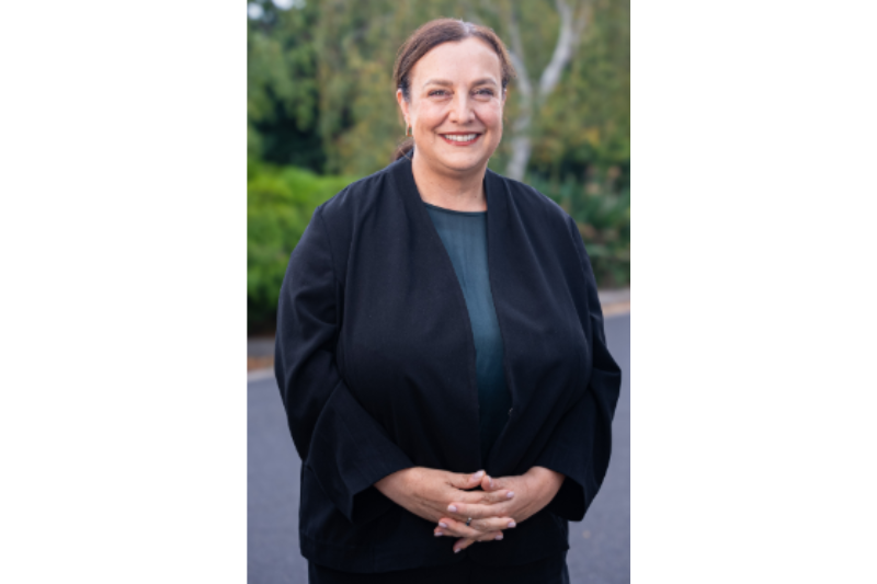 CEO and executive team