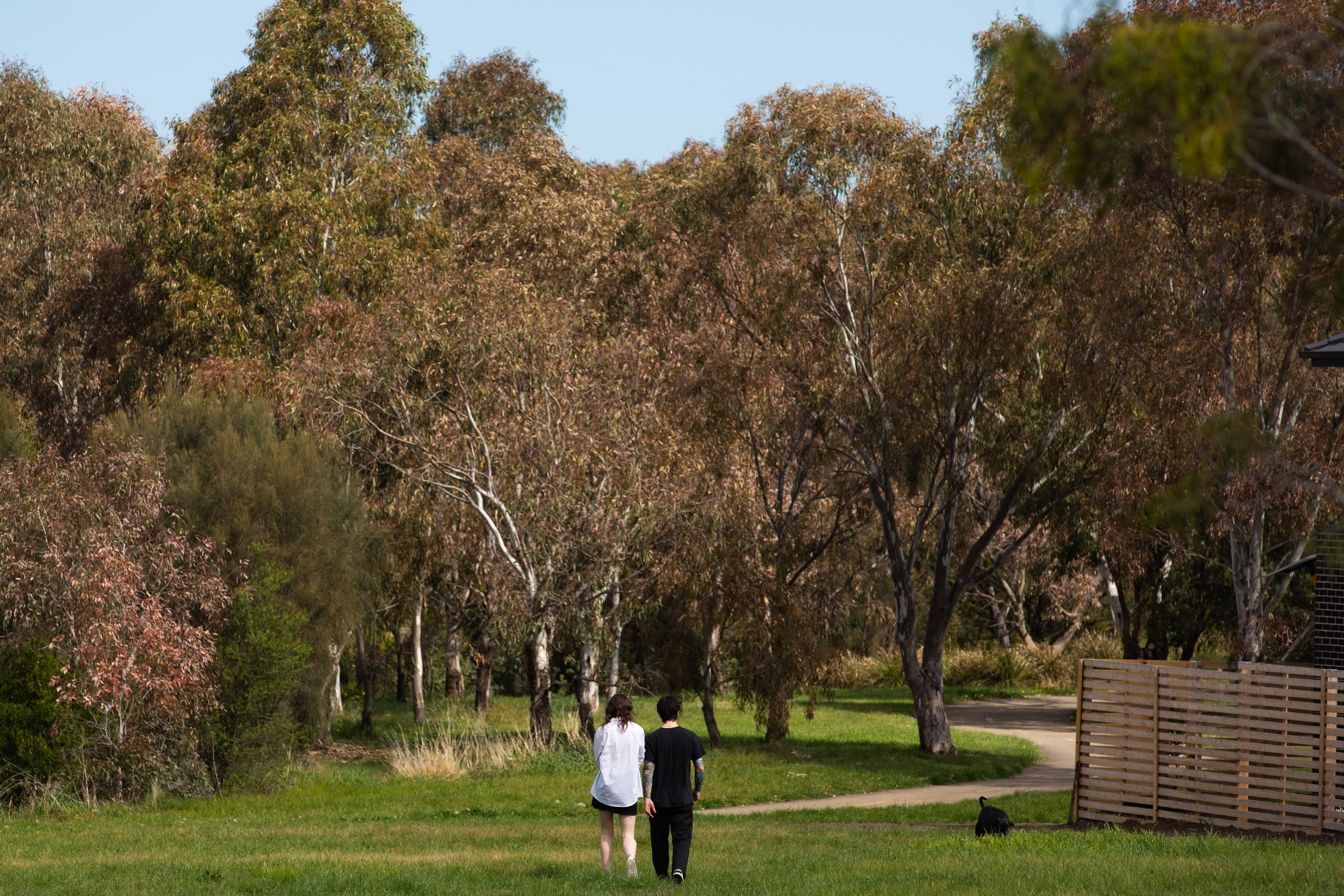 Merri-bek City Council adopts 2026–2030 budget