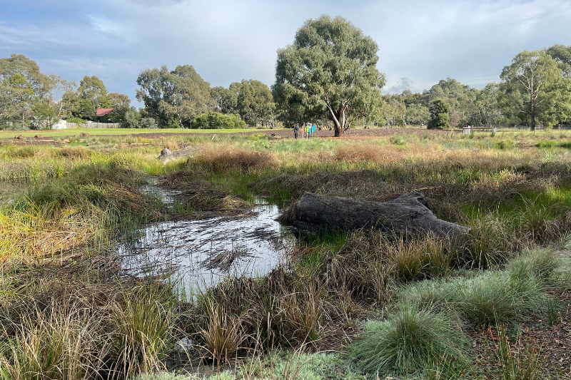 Moomba Park Wetland is now officially open