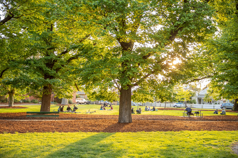 Cardinal Road, Glenroy going green with new park