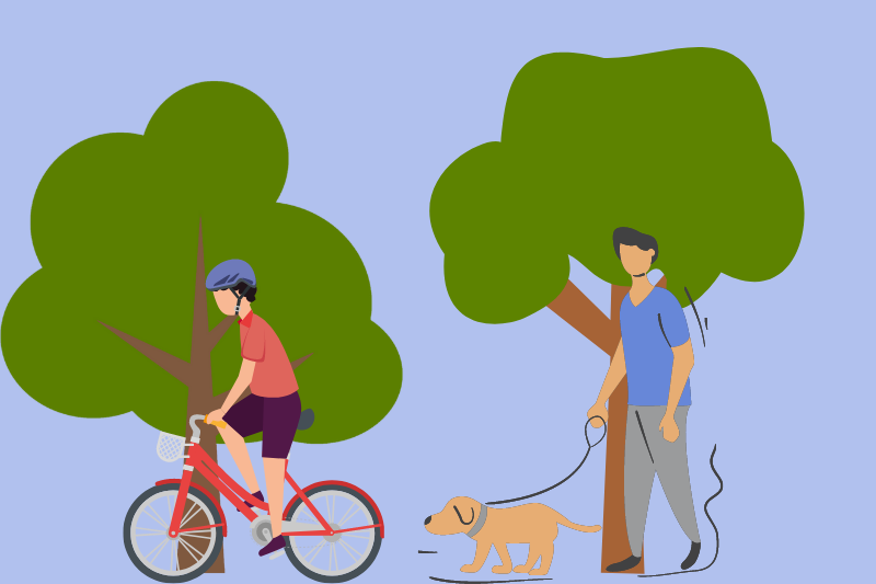 Help us improve our walking and cycling networks