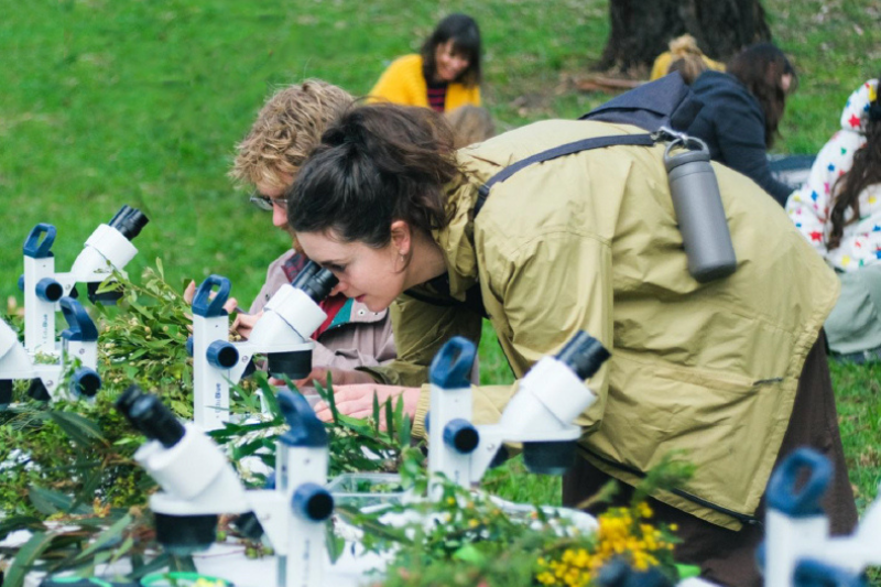 Annual Community Grants open for summer